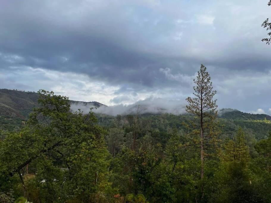 Yosemite'S Scenic Hideaway Βίλα Midpines Εξωτερικό φωτογραφία